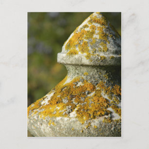 Lichen Covered Cemetery Obelisk Briefkaart