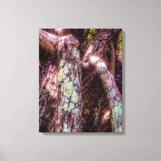 Lichen in Dapped Sunlight Canvas Afdruk (Voorkant)