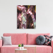 Lichen in Dapped Sunlight Canvas Afdruk (Insitu (Woonkamer))