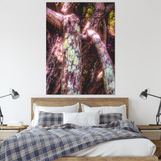 Lichen in Dapped Sunlight Canvas Afdruk (Insitu (Slaapkamer))