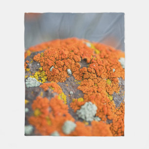 Lichen oranje moss stone grijs fleece deken
