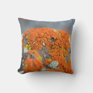 Lichen oranje moss stone grijs kussen