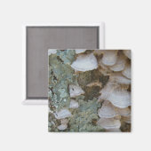 Lichen & Shelf Fungus Magnet Magneet (Voorkant / Achterkant)