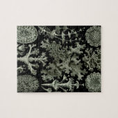 Lichen van Ernst Haeckel, Planten van de  Natuur Legpuzzel (Horizontaal)