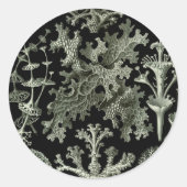 Lichen van Ernst Haeckel, Planten van de  Natuur Ronde Sticker (Voorkant)