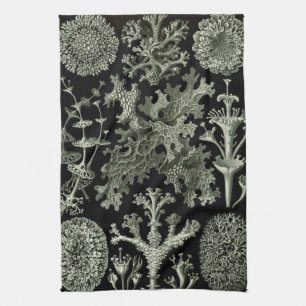 Lichen van Ernst Haeckel, Planten van de Natuur Theedoek