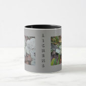 Lichens-Mok Mok (Midden)