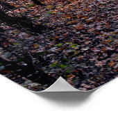 Licht aan het eind van het Poster van de Weg (Hoek)