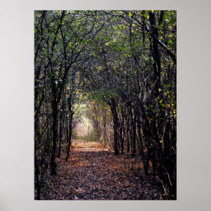 Licht aan het eind van het Poster van de Weg