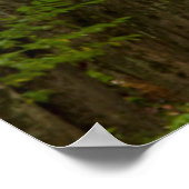 Licht aan het einde van een boomtunnel poster (Hoek)