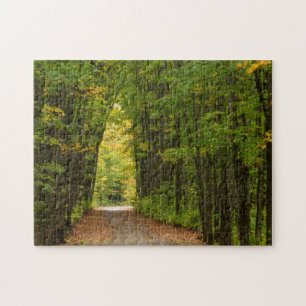 Licht aan het einde van een tunnel van bomen legpuzzel