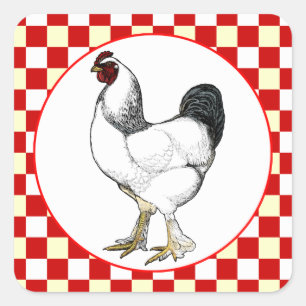 Licht Brahma Haan Kip Restaurant Vierkante Sticker