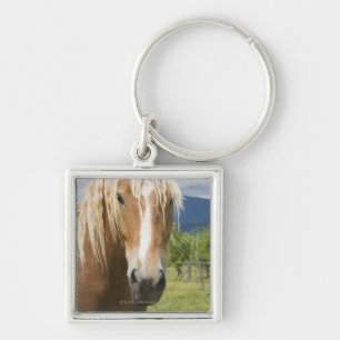 Licht bruine paard sleutelhanger