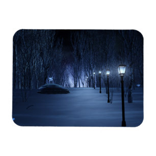 Licht buigzaam magneet uit de pool