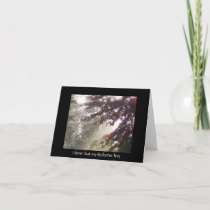 Licht door pruimenboom sympathiekaart kaart