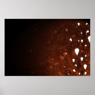 Licht en donker poster