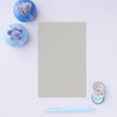 Licht Frans Grijs Effen Kleur Flyer (Enkel)