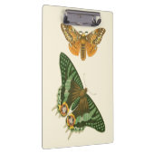 Licht geordende vlinderschildering klembord (Rechts)