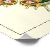 Licht geordende vlinderschildering poster (Hoek)