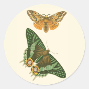 Licht geordende vlinderschildering ronde sticker