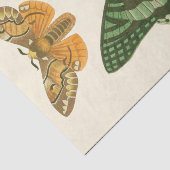 Licht geordende vlinderschildering tissuepapier (Detail)