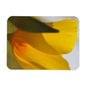 Licht gevulde papaver magneet (Horizontaal)