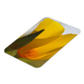 Licht gevulde papaver magneet (Linkerzijde)