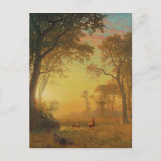 Licht in het bos door Albert Bierstadt Briefkaart (Voorkant)