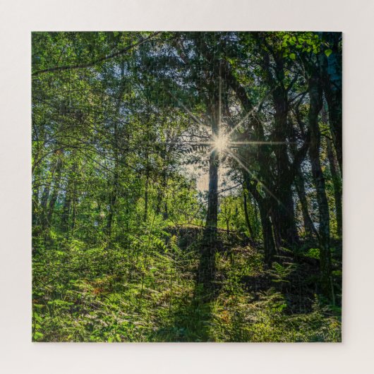 Licht in het bos legpuzzel (Verticaal)