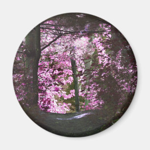 Licht op de Magneet van de Natuur van de Weg