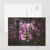 Licht op Natuur Briefkaart pad (Voorkant / Achterkant)
