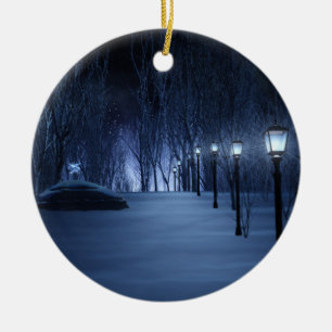 Licht Ornament van de pool