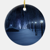 Licht Ornament van de pool (Achterkant)