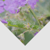 Licht Paarse Geranium Wildflower Botanische Foto Tissuepapier (Detail)