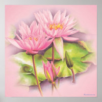Licht roze, fijne kunst botanische posters afdrukk