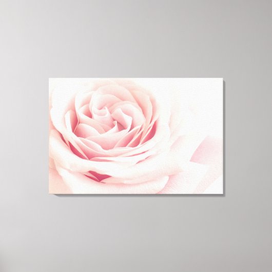 Licht roze Roos ventilator - Rozen bloemen Canvas Afdruk (Voorkant)