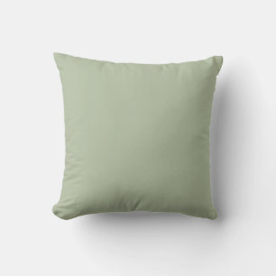 Licht Sage Groen Effen Kleur Kussen