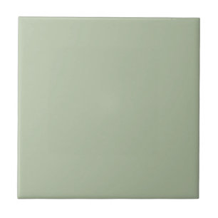 Licht Sage Groen Effen Kleur Tegeltje