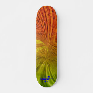 LICHTBEAMS NEON PRO SKATEBOARD FUN KINDEREN