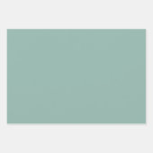 Lichtblauw Moderne Groovy Daisy Bloemen Inpakpapier Vel (Voorkant 2)