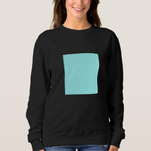 Lichtblauw Turquoise Effen Kleur Eenvoudige Kleur  Trui