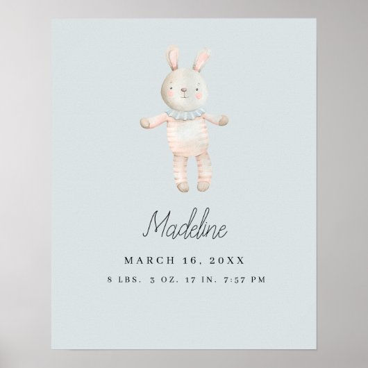 lichtblauwe roze konijnenkwekerij poster (Voorkant)