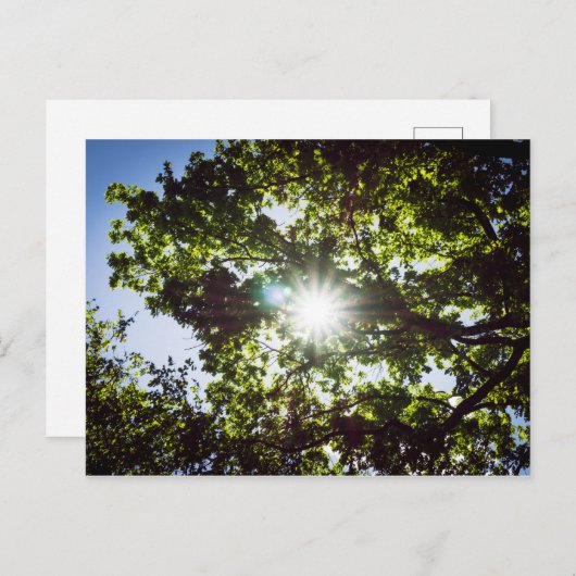 Lichtblick Briefkaart (Voorkant / Achterkant)