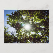 Lichtblick Briefkaart (Voorkant)