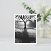 Lichtboom: Derwentwater, Cumbria Briefkaart (Staand voorkant)