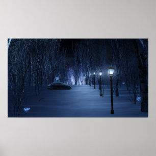 Lichtdruk van de pool poster