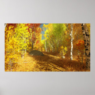 Lichte afdruk poster