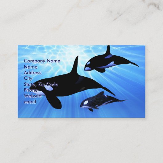 Lichte echo visitekaartje (Voorkant)