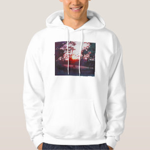 Lichte grond 2013 hoodie