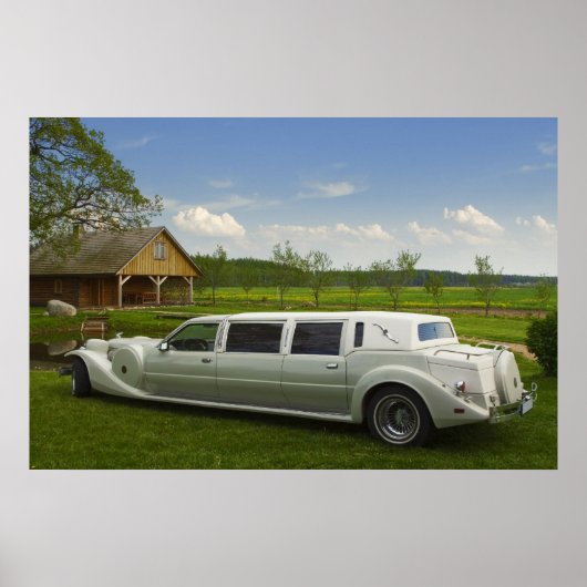 Lichte limousine in de weide poster (Voorkant)